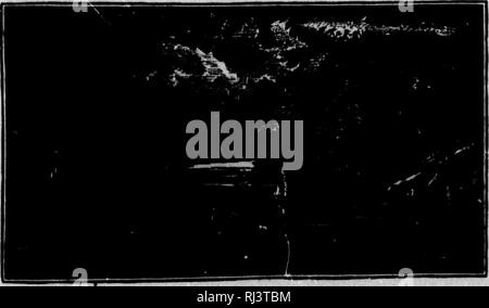 . Das große Spiel von Nordamerika [microform]: seine Gewohnheiten, Habitat, spukt, und Eigenschaften: Wie, Wann und Wo Es zu jagen. Jagd; Jagd; Big Game Big game Jagd; Jagd; Chasse; Chasse; Chasse Au Gros gibier; Chasse Au Gros gibier. Der VIELFRASS. 601 Neigung des Tieres für Baum-Schneid ist wieder an, sowie Lis Eifer, der Duft: "Brown empfohlen, da dies ein guter Platz war, einige Regelungen für die der Partei, die von Jasper's; und Valad zurückzukehren. Wählen Sie hierzu einen Standort in der Greenwood zwischengespeichert werden, er und Beaupre ging ab, die ihm aus der Oppo-Website Richtung angedeutet Stockfoto