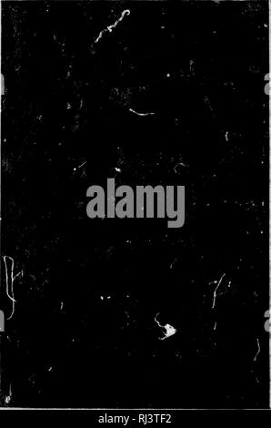 . Das große Spiel von Nordamerika [microform]: seine Gewohnheiten, Habitat, spukt, und Eigenschaften: Wie, Wann und Wo Es zu jagen. Jagd; Jagd; Big Game Big game Jagd; Jagd; Chasse; Chasse; Chasse Au Gros gibier; Chasse Au Gros gibier. g. Bitte beachten Sie, dass diese Bilder sind von der gescannten Seite Bilder, die digital für die Lesbarkeit verbessert haben mögen - Färbung und Aussehen dieser Abbildungen können nicht perfekt dem Original ähneln. extrahiert. Schilde, G.O. (George Oliver), 1846-1925; Caton, John Dean, 1812-1895. Chicago; New York: Rand McNally Stockfoto