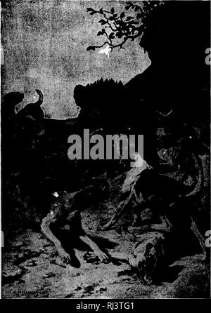 . Das große Spiel von Nordamerika [microform]: seine Gewohnheiten, Habitat, spukt, und Eigenschaften: Wie, Wann und Wo Es zu jagen. Jagd; Jagd; Big Game Big game Jagd; Jagd; Chasse; Chasse; Chasse Au Gros gibier; Chasse Au Gros gibier. An der Bucht.. Bitte beachten Sie, dass diese Bilder sind von der gescannten Seite Bilder, die digital für die Lesbarkeit verbessert haben mögen - Färbung und Aussehen dieser Abbildungen können nicht perfekt dem Original ähneln. extrahiert. Schilde, G.O. (George Oliver), 1846-1925; Caton, John Dean, 1812-1895. Chicago; New York: Rand McNally Stockfoto