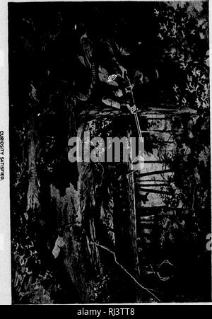 . Das große Spiel von Nordamerika [microform]: seine Gewohnheiten, Habitat, spukt, und Eigenschaften: Wie, Wann und Wo Es zu jagen. Jagd; Jagd; Big Game Big game Jagd; Jagd; Chasse; Chasse; Chasse Au Gros gibier; Chasse Au Gros gibier. I Bitte beachten Sie, dass diese Bilder sind von der gescannten Seite Bilder, die digital für die Lesbarkeit verbessert haben mögen - Färbung und Aussehen dieser Abbildungen können nicht perfekt dem Original ähneln. extrahiert. Schilde, G.O. (George Oliver), 1846-1925; Caton, John Dean, 1812-1895. Chicago; New York: Rand McNally Stockfoto