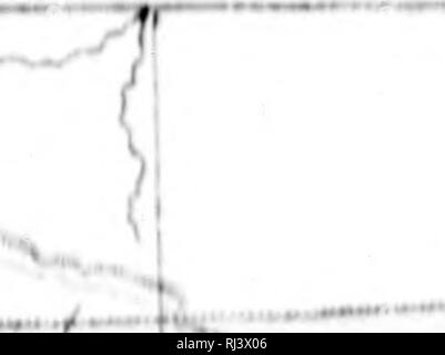 . Das Land der muskeg [microform]. Jagd; Chasse. I.: Ich I. Kranke lOH. Bitte beachten Sie, dass diese Bilder sind von der gescannten Seite Bilder, die digital für die Lesbarkeit verbessert haben mögen - Färbung und Aussehen dieser Abbildungen können nicht perfekt dem Original ähneln. extrahiert. Somerset, H. Somers (Henry Somers). London: W. Heinemann Stockfoto