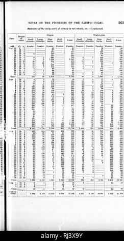 . Notizen auf einem reconnoissance [sic] der Fischerei an der Pazifikküste der USA 1894 [microform]. Fischerei; Pêcheries. . Bitte beachten Sie, dass diese Bilder sind von der gescannten Seite Bilder, die digital für die Lesbarkeit verbessert haben mögen - Färbung und Aussehen dieser Abbildungen können nicht perfekt dem Original ähneln. extrahiert. Smith, Hugh M. (Hugh McCormick), 1865-1941. [Washington: G. S. O. Stockfoto