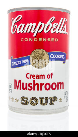 Winneconne, WI-2 Feb 2019: eine Dose Campbells Suppe in Creme von Pilz auf einem isolierten Hintergrund Stockfoto