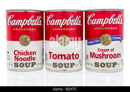 Winneconne, WI-2 Feb 2019: eine Sammlung von Campbells Suppe in Creme von Pilz, Huhn Nudeln und Tomaten auf einem isolierten Hintergrund Stockfoto