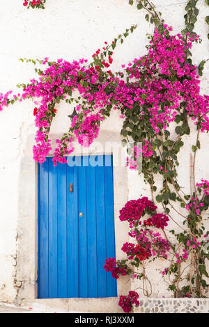 Blau Holztür mit einer Bougainvillea Bündel Stockfoto