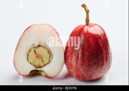 Rosa Rose apple Exotische Früchte auf weißem Studiohintergrund Stockfoto