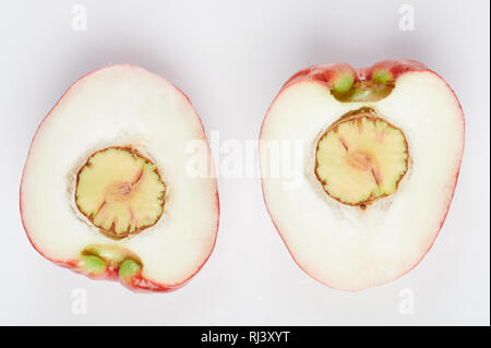 Zwei halbe perote Obst auf weißem Hintergrund Stockfoto