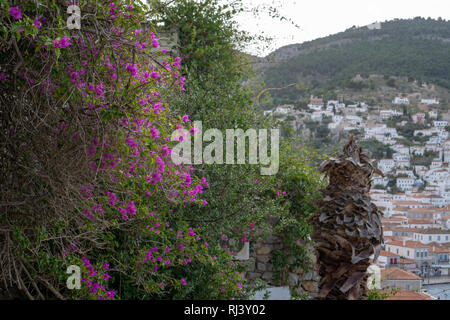 Aus kalten Toronto war es ein besonderes Vergnügen schöne voll erblühte Büsche von Bougainvilleas auf Hydra zu sehen Stockfoto