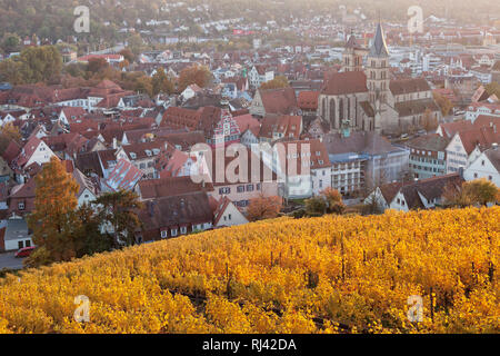 Blick von der Burg zur Altstadt mit Stadtkirche St. Dionys und Rathaus, Esslingen am Neckar, Baden-Württemberg, Deutschland Stockfoto