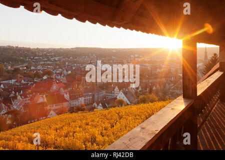 Blick von der Burg zur Altstadt mit Stadtkirche St. Dionys und Rathaus, Esslingen am Neckar, Baden-Württemberg, Deutschland Stockfoto