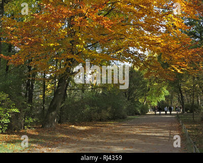 Deutschland, Oberbayern, M?nchen, Englischer Garten im Herbst, Stockfoto