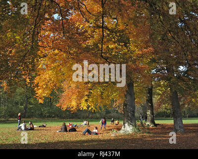 Deutschland, Oberbayern, M?nchen, Englischer Garten im Herbst, Stockfoto