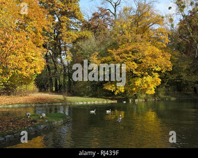 Deutschland, Oberbayern, M?nchen, Englischer Garten im Herbst, Stockfoto