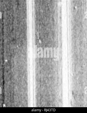 . Des Pferdes Freund [microform]: Die einzige praktikable Methode der Erziehung der Pferde und die Beseitigung der lasterhaften Gewohnheiten, durch eine Vielzahl von wertvollen Rezepte gefolgt, Anweisungen in farriery, Pferd - Shoking, die neuesten Regeln der Trab, und die Aufzeichnung von schnellen Pferden bis zu 1876. Pratt, O.S., b. 1835; Pratt, O.S., né 1835; Pferd; Pferde; Chevaux; Chevaux. . Bitte beachten Sie, dass diese Bilder sind von der gescannten Seite Bilder, die digital für die Lesbarkeit verbessert haben mögen - Färbung und Aussehen dieser Abbildungen können nicht perfekt dem Original ähneln. extrahiert. Pratt, O.S., Stockfoto