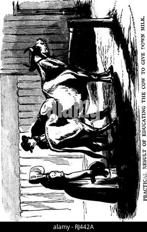 . Des Pferdes Freund [microform]: Die einzige praktikable Methode der Erziehung der Pferde und die Beseitigung der lasterhaften Gewohnheiten, durch eine Vielzahl von wertvollen Rezepte gefolgt, Anweisungen in farriery, Pferd - Shoking, die neuesten Regeln der Trab, und die Aufzeichnung von schnellen Pferden bis zu 1876. Pratt, O.S., b. 1835; Pratt, O.S., né 1835; Pferd; Pferde; Chevaux; Chevaux. liSi. Bitte beachten Sie, dass diese Bilder sind von der gescannten Seite Bilder, die digital für die Lesbarkeit verbessert haben mögen - Färbung und Aussehen dieser Abbildungen können nicht perfekt dem Original ähneln. extrahiert. Pratt, O. S Stockfoto