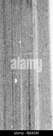 . Des Pferdes Freund [microform]: Die einzige praktikable Methode der Erziehung der Pferde und die Beseitigung der lasterhaften Gewohnheiten, durch eine Vielzahl von wertvollen Rezepte gefolgt, Anweisungen in farriery, Pferd - Shoking, die neuesten Regeln der Trab, und die Aufzeichnung von schnellen Pferden bis zu 1876. Pratt, O.S., b. 1835; Pratt, O.S., nÃ©1835; Pferd; Pferde; Chevaux; Chevaux. Â 51. Bitte beachten Sie, dass diese Bilder sind von der gescannten Seite Bilder, die digital für die Lesbarkeit verbessert haben mögen - Färbung und Aussehen dieser Abbildungen können nicht perfekt dem Original ähneln. extrahiert. Pratt, O. Stockfoto