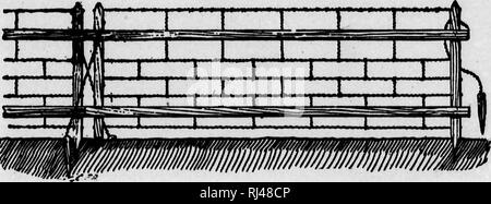 . Erfolgreiche Landwirtschaft [microform]: wie bis zum Bauernhof für Profit: Die neuesten Methoden. Landwirtschaft; Gartenbau; Betriebsführung; Nutztiere; Landwirtschaft; Jardinage; Exploitations agricoles; Bétail. Fechten. 33 Es wäre selten notwendig sein wird, weitere NeoeHtry Fenoeii ständigen inneren Zäune als für eine Gasse in der Mitte der Farm erforderlich ist, Haye. Eine bequeme und robuste tragbare Zaun erfolgen und auf die experimentellen Farm am Ontario landwirtschaftliche Hochschule verwendet. (Siehe 111. 15). Dieser Zaun wird in Abschnitten gebaut, zwölf Meter lang und fast vier Meter hoch. Jeder Abschnitt enthält etwa zwanzig Fuß aus Holz, und Stockfoto