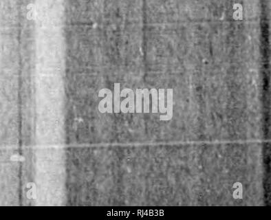 . Rapport sur les Iles de la Reine-Charlotte microforme, 1878]. Indiens; Géologie; Crustacés; Météorologie; Haida (Indiens); Indianer Nordamerikas; Geologie; Crustacea; Meteorologie; Haida Indianer. fl. Bitte beachten Sie, dass diese Bilder sind von der gescannten Seite Bilder, die digital für die Lesbarkeit verbessert haben mögen - Färbung und Aussehen dieser Abbildungen können nicht perfekt dem Original ähneln. extrahiert. Dawson, George M., 1849-1901; Kommission géologique du Canada. [Montréal? : N. n. Stockfoto