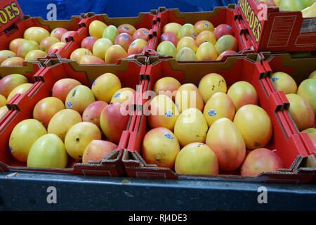 Frische mango für den Verkauf am lokalen Markt in Melbourne, Victoria, Australien Stockfoto