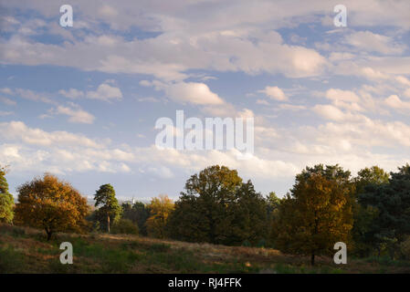 Deutschland, Nordrhein-Westfalen, Wahner Heide, Blick von der Wahner Heide in Abtei Michaelsberg im Herbst Stockfoto