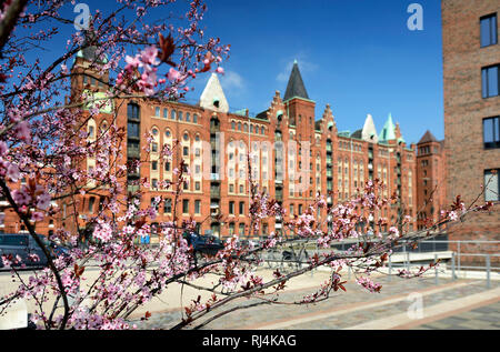 Dar-es-Salaam-Platz in der Hafencity von Hamburg, Deutschland, Europa Stockfoto