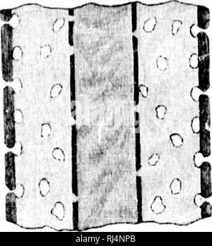 . 2. Beitrag zu den Studien über die Cambrian Faunen der Nordamerika [microform]. Paläontologie; Arthropoda, Fossil; Arthropoda, Fossil; Paléontologie; Arthropodes Fossilien; Arthropodes Fossilien. . Bitte beachten Sie, dass diese Bilder sind von der gescannten Seite Bilder, die digital für die Lesbarkeit verbessert haben mögen - Färbung und Aussehen dieser Abbildungen können nicht perfekt dem Original ähneln. extrahiert. Walcott, Charles D. (Charles Doolittle), 1850-1927; in den Vereinigten Staaten. Geological Survey. Washington: G. S. O. Stockfoto