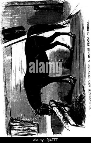 . Des Pferdes Freund [microform]: Die einzige praktikable Methode der Erziehung der Pferde und die Beseitigung der lasterhaften Gewohnheiten, durch eine Vielzahl von wertvollen Rezepte gefolgt, Anweisungen in farriery, Pferd - Shoking, die neuesten Regeln der Trab, und die Aufzeichnung von schnellen Pferden bis zu 1876. Pratt, O.S., b. 1835; Pratt, O.S., né 1835; Pferd; Pferde; Chevaux; Chevaux. . Bitte beachten Sie, dass diese Bilder sind von der gescannten Seite Bilder, die digital für die Lesbarkeit verbessert haben mögen - Färbung und Aussehen dieser Abbildungen können nicht perfekt dem Original ähneln. extrahiert. Pratt, O.S., Stockfoto