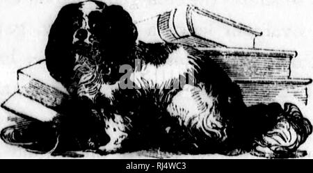 . Der Hund [microform] / von Dinks, Mayhew und Hutchinson; zusammengestellt, verkürzt, bearbeitet von Frank Förster [d. h. Ill. Henry William Herbert]. Hunde; Hunde; Chiens; Chiens. 454 Hunde: theiu manaurment.^ nning des Heilungsprozesses sein, und die Tätigkeit dieser Entzündung Verträge die hängende Haut; so dass, wenn ein Teil entfernt werden, gibt es eine offene wounJ bleiben insoweit; und wie Haut langsam reproduziert wird, kann die Heilung verzögert für Monate. Der erste Teil der Geschäfte gut abgeschlossen wird, der Hund muss einen Maulkorb zu bleiben und seinem Inhaber mit einer Flasche hea zurückgegeben werden Stockfoto