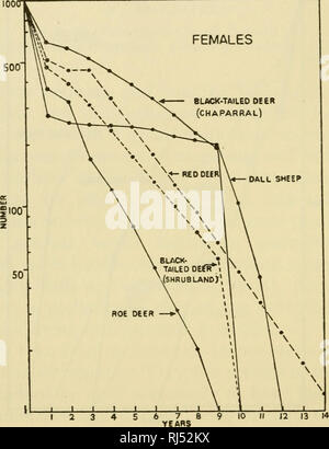 . Ciba Foundation Kolloquien über das Altern. Alter; Alterung; Tiere - Wachstum & Amp; Entwicklung. 92 F. BOURLIERE die Ly. Spalten in der HFE-Tabellen, sind in den Abbildungen dargestellt. 1 und 2. Überleben Kurven beider Geschlechter zusammen genommen sind in Bild gegeben. 3 Für den kargen Boden Karibu. Ursprünglichen zahlen, auf denen diese Berechnungen wurden für Cervus elaphus der Insel Jura aus Schottland Veröffentlicht von Evans (1891), von den Frauen black-tailed oeer (chaparral) OALL SMEEP. Ich Abb. 2, Überleben Kurven für Frauen von fünf un-konzertierungsrunde zwischen Populationen. Murie (1944) für die Ovis dalli des Mount McKinley National Park in den ALA-Ländern Stockfoto