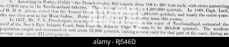 . Die Wirkung der Fischerei Klauseln des Vertrags von Washington auf der Fischerei und den Fischern von Britisch Nordamerika [microform]. Fischerei; Fischerei; PÃªche commerciale; PÃªche Commerciale. ;^[H' lMi;^I "ViTt". Kranke sliilcniciits. ins STATlSTM-s oder KKDNCII M.; V | - () ITM) |, M) MsilKUiKH. Â Â""" "i" "-; s-Â":;;;;;;;; i; 3:: iHl: ^Â" Nmiil). r..f, SI (. n | N.. niiuKnl. llinliiM" r Männer • NmiiiUt III-Sl.Inps,. | iKiiK... l Krank iho (iiilC â (UhpHo,".'." V.V. Â"?? ^^ nnllll nl. llrn"&gt; unilÂ". |----- Nr, nmllor vnÂ" M'l", lHiatÂ". (. • Inl. iiriMlicins)'!"! . Wenn.l. NniiiU Stockfoto