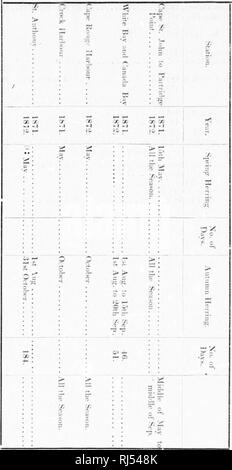 . Die Wirkung der Fischerei Klauseln des Vertrags von Washington auf der Fischerei und den Fischern von Britisch Nordamerika [microform]. Fischerei; Fischerei; Pêche commerciale; Pêche commerciale. IM'. inODS von M'I'KOACII ZU IIIK COAS I'.-N-KW-KOrNDI. BIN). Mühle 111 KASI AIIWIIC COAsr. " •" 50. I; il) | e sliowini? Tlic diilcs ol Die lii'ht-a]) pi!. iiiinfe Uik! Der Tlic ilppartiirr iikiiiiim! TVinn tlip Noitli Ivist Atlmitif Kontra "III" i-u-r. iiiiiilhiiil:. Ich, rii |, tiiiii lir Wii. KN. Ii.M. Ipvn. Ich, "h,; ilj, - yuv ist; i; r, i |. tiiiii ll. ukiMH, | {..., II.M.^, "Kii. U'M;, - Herr ist; -.". U,. | Ich. Stockfoto