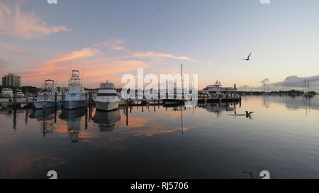 Sonnenaufgang über Abendessen Key Marina in Coconut Grove, Miami, Florida. Stockfoto