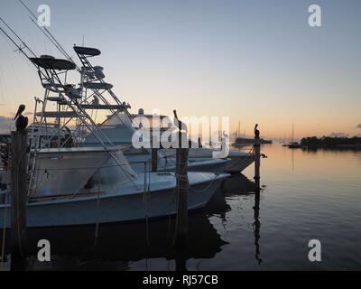 Sonnenaufgang über Abendessen Key Marina in Coconut Grove, Miami, Florida. Stockfoto