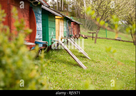 Imkerei oder bee Yard, kleine bunte Kisten aus Holz Zeile im Hinterhof des Hauses Parcel, Frühjahr Saison in Polen, Europa, niemand! Stockfoto