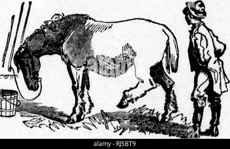 . Eine Abhandlung über das Pferd und seine Krankheiten [microform]. Pferde; Pferde; Horseshoeing; Chevaux; Chevaux; Marechalerie. Gründliche PIN. ÂAn THOROUGHPIN, Zuneigung begleitende Blut spat, und in der Regel verursacht b&gt; übermäßige Arbeit. Symptome. âA runde Tumor durch das Bein gehen und auf der Außenseite und vor der gemeinsamen Der 'liock. Thoroughpin ist die gleiche Krankheit wie Blut spat, auf eine umfassendere, wodurch die eiilargement durch die gemeinsamen von der einen auf die andere Seite zu erweitern. Behandlung. âSame wie für Blut, Spat, die sehen. Tumoren sind Schwellungen oder Erweiterungen von irgendeinem Teil von Stockfoto