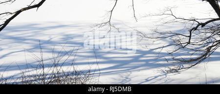 Ominöse und dunkle, blattlose Äste, die im Winter ihre Schatten auf einen mit Eis und Schnee bedeckten Boden werfen. Stockfoto