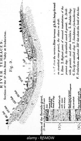 . Feld und Wald Wanderungen [microform]: mit Notizen und Beobachtungen über die Naturgeschichte der östlichen Kanada. Natural History - New Brunswick; Baron-- Nouveau-Brunswick; New Brunswick - - Beschreibung und Reisen; Nouveau-Brunswick - - Beschreibungen et Voyages. %. Bitte beachten Sie, dass diese Bilder sind von der gescannten Seite Bilder, die digital für die Lesbarkeit verbessert haben mögen - Färbung und Aussehen dieser Abbildungen können nicht perfekt dem Original ähneln. extrahiert. Adams, A. Leith (Andrew Leith), d. 1882. London: S. King Stockfoto