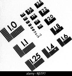 . Blätter von einem sportsmans Tagebuch [microform]. Jagd; Angeln; Chasse, Pêche sportive. Bild TEST ZUR BEURTEILUNG ZIEL (MT-3). Bitte beachten Sie, dass diese Bilder sind von der gescannten Seite Bilder, die digital für die Lesbarkeit verbessert haben mögen - Färbung und Aussehen dieser Abbildungen können nicht perfekt dem Original ähneln. extrahiert. Gillmore, Parker. London: W. Allen Stockfoto