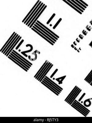 . Blätter von einem sportsmans Tagebuch [microform]. Jagd; Angeln; Chasse, Pêche sportive. Bild TEST ZUR BEURTEILUNG ZIEL (MT-3) //. ^4^ LO LL 1,25 L £ I2.8 2.5 2.2 1.8 111^II 4. Bitte beachten Sie, dass diese Bilder sind von der gescannten Seite Bilder, die digital für die Lesbarkeit verbessert haben mögen - Färbung und Aussehen dieser Abbildungen können nicht perfekt dem Original ähneln. extrahiert. Gillmore, Parker. London: W. Allen Stockfoto