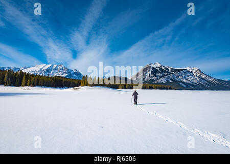 Eine einzelne Frau Schneeschuhwandern in den Kanadischen Rocky Mountains unter azurblauem Himmel. Alberta Kananaskis Lakes im Winter. Stockfoto