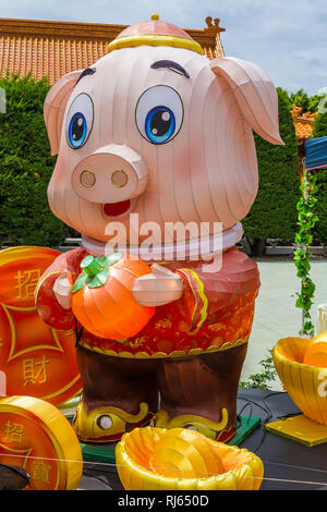 Jahr des Schweins feiern, Nan Tien Tempel, Wollongong Stockfoto