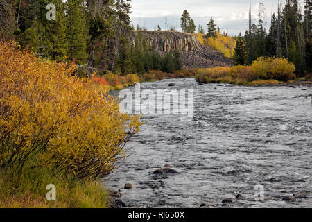 WY 03141-00 ... WYOMING - Basaltsäulen Felswand entlang der Gardiner Fluss am Sheepeater Cliff Anzeigebereich im Yellowstone National Park. Stockfoto