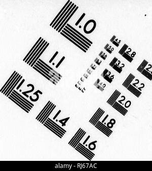 . Eine Geschichte der Kavallerie von den frühesten Zeiten [microform]: mit Lektionen für die Zukunft. Pferde; Krieg; Militär Kunst und Wissenschaft; Chevaux; Guerre; Kunst und Wissenschaft militaires. Bild TEST ZUR BEURTEILUNG ZIEL (MT-3). 1.0 I.I 1,25 I^m^U^ 12,0 1,8 U IIIIII. 6 '/. Photographic Sciences Coiporation 33 KIST WICHTIGSTE STÜTZE WEB'iTIR, NY 14590 (-/16) (73-4 S03. Bitte beachten Sie, dass diese Bilder sind von der gescannten Seite Bilder, die digital für die Lesbarkeit verbessert haben mögen - Färbung und Aussehen dieser Abbildungen können nicht perfekt dem Original ähneln. extrahiert. Denison, George T. (George Stockfoto