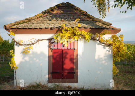 Deutschland, Rheinland-Pfalz, Winzerhäuschen bei Edenkoben an der Weinstraße Stockfoto