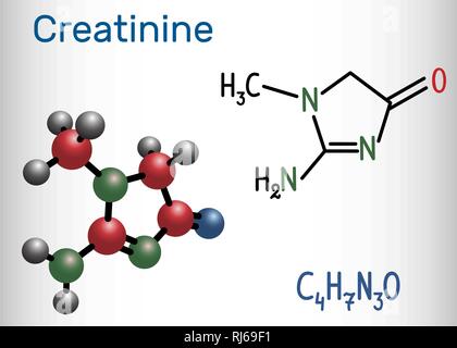 Kreatinin Molekül. Strukturelle chemische Formel und Molekül-Modell. Vector Illustration Stock Vektor