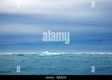 Jökulsárlón, Meer, Insel, Landschaft Stockfoto