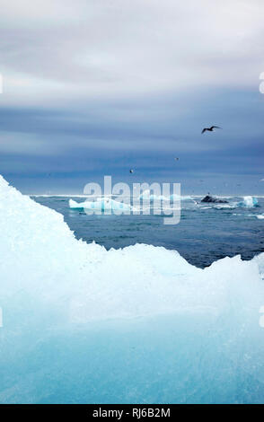 Jökulsárlón, Meer, Insel, Landschaft Stockfoto