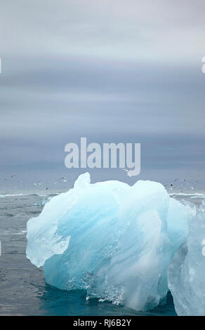 Jökulsárlón, Meer, Insel, Landschaft Stockfoto