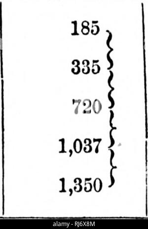 . Brief an Herrn William Henry Seward, Staatssekretär [microform]: in der Antwort auf eine von ihm auf der Entschließung des Senats als für die Beziehungen der Vereinigten Staaten mit der britischen Provinzen: und den aktuellen Zustand der Fischerei. Fischerei; Fischerei; Gegenseitigkeit; PÃªches; PÃªches; RÃ©ciprocitÃ ©.y;''! f r^â ¢ rr 140 elektrische Effekte der Eisenbahnen. Eisenbahn FRISTVERLÄNGERUNG UND DEREN ERGEBNISSE. DY R. DUDLEY BAXTER, M. A. [Lesen Sie vor dem Statistischen Societj', November ab 12,00 G6, Spalte Sykes, M. P. im Stuhl.] â"^"'. *.'. &Gt;',' VIII. âIIailways in Belgien und Holland. Belgi Stockfoto