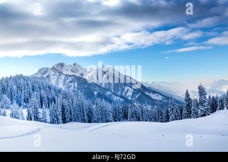 Verschneite Winterlandschaft, hinten der Höllwand mit Sandkogel, 2287 m, und Heukareck, 2100 m, Skigebiet Alpendorf, St. Johann im Pongau, Salzburger Stockfoto